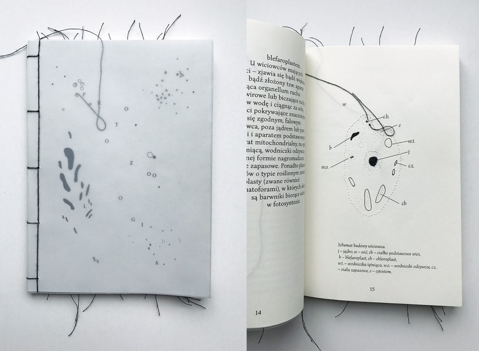 Natalia Gil, „Protozoologia” – książka jako obiekt sensualny