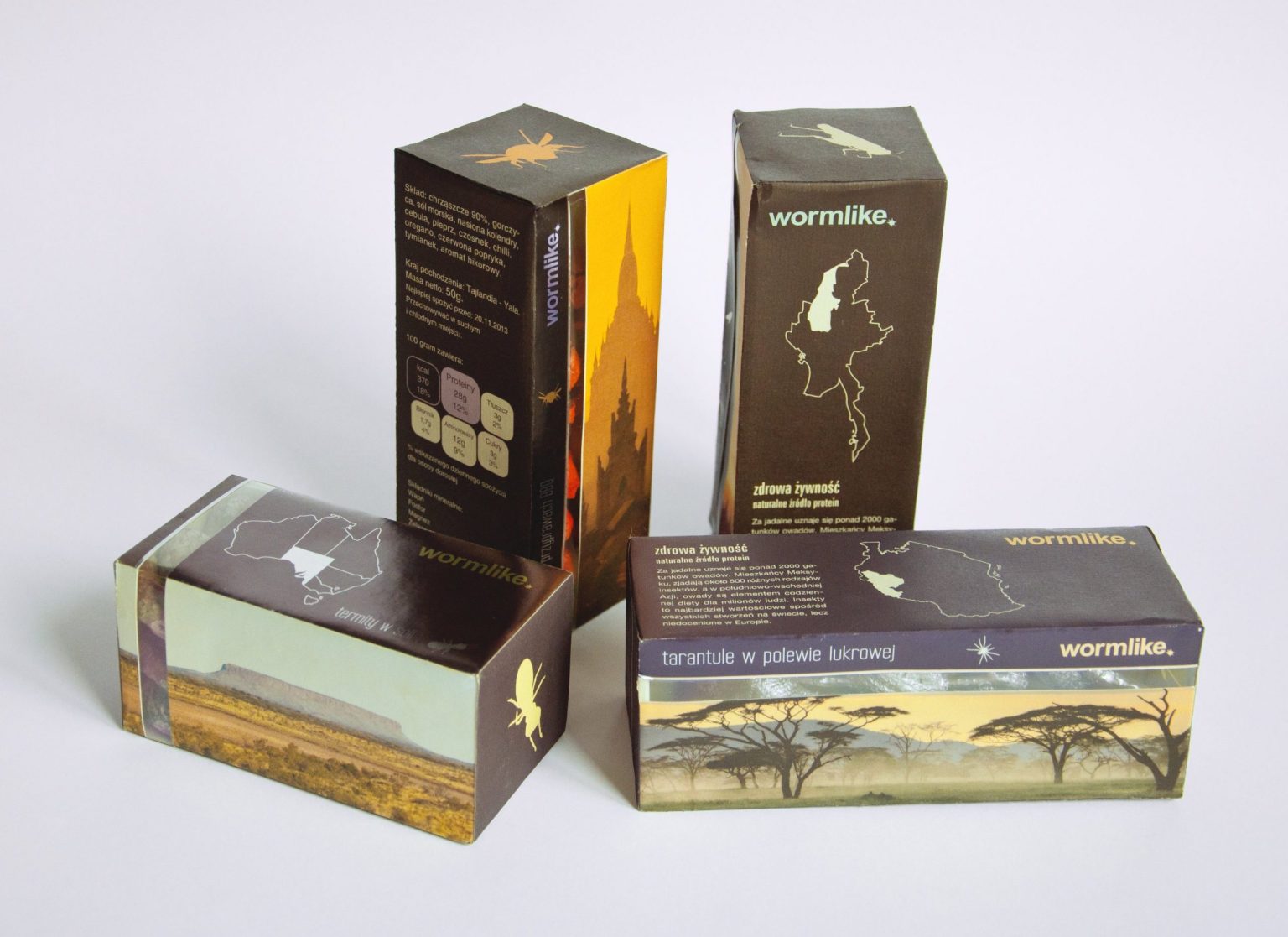 Olga Cytowska - żywność z robaków