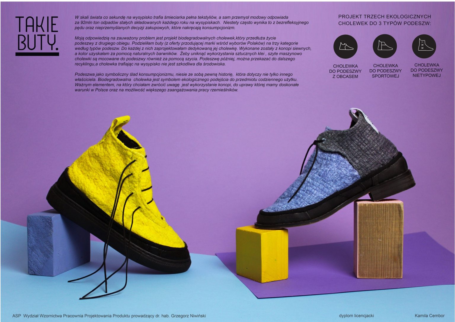 Takie buty. Buty z biodegradowalnymi cholewkami i podeszwami z recylkingu - Kamila Cembor - dyplom licencjacki. Promotor: dr hab. Grzegorz Niwiński