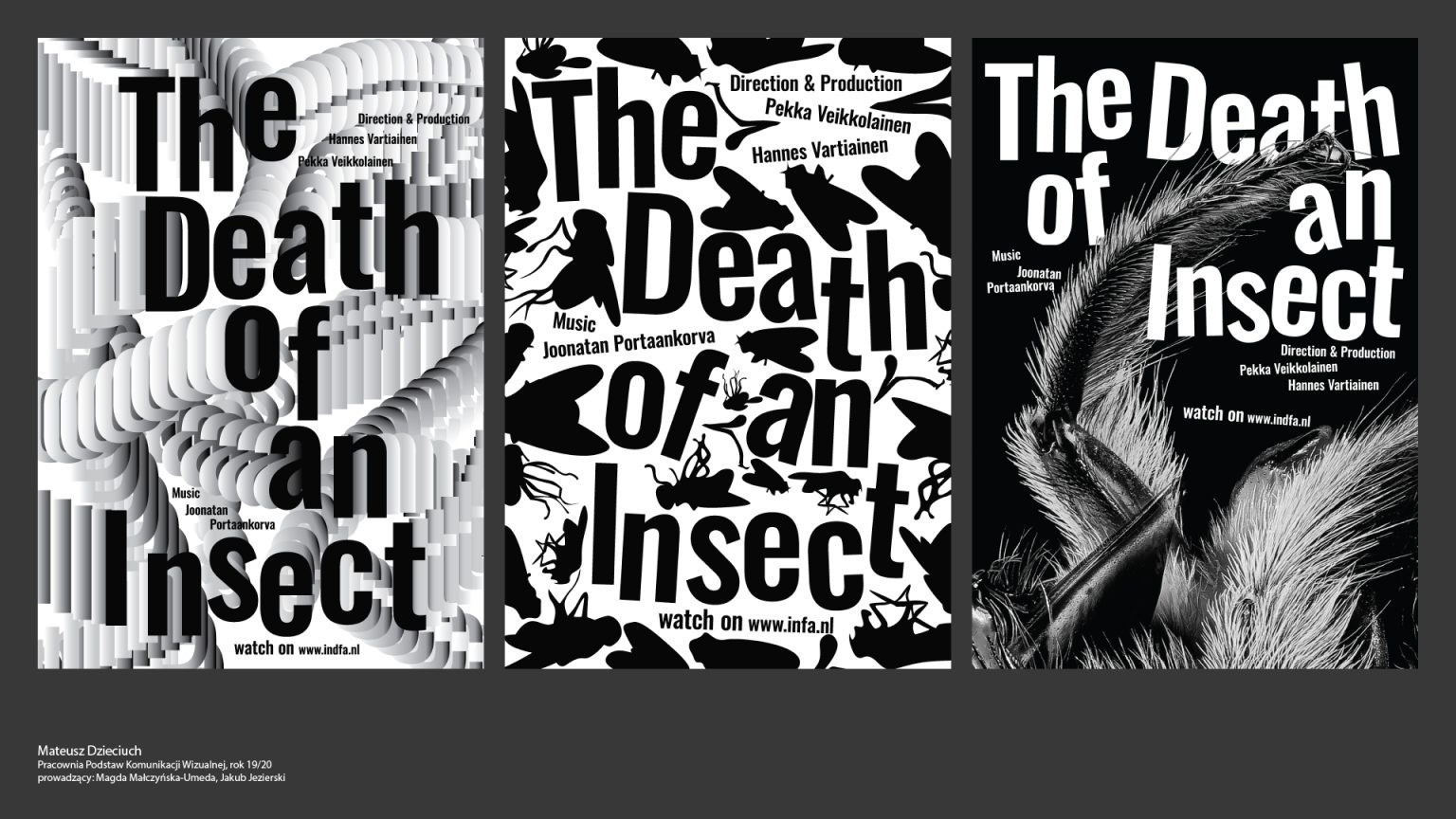 Mateusz Dzieciuch „The Death of an Insect” plakat typograficzny, graficzny, fotograficzny
