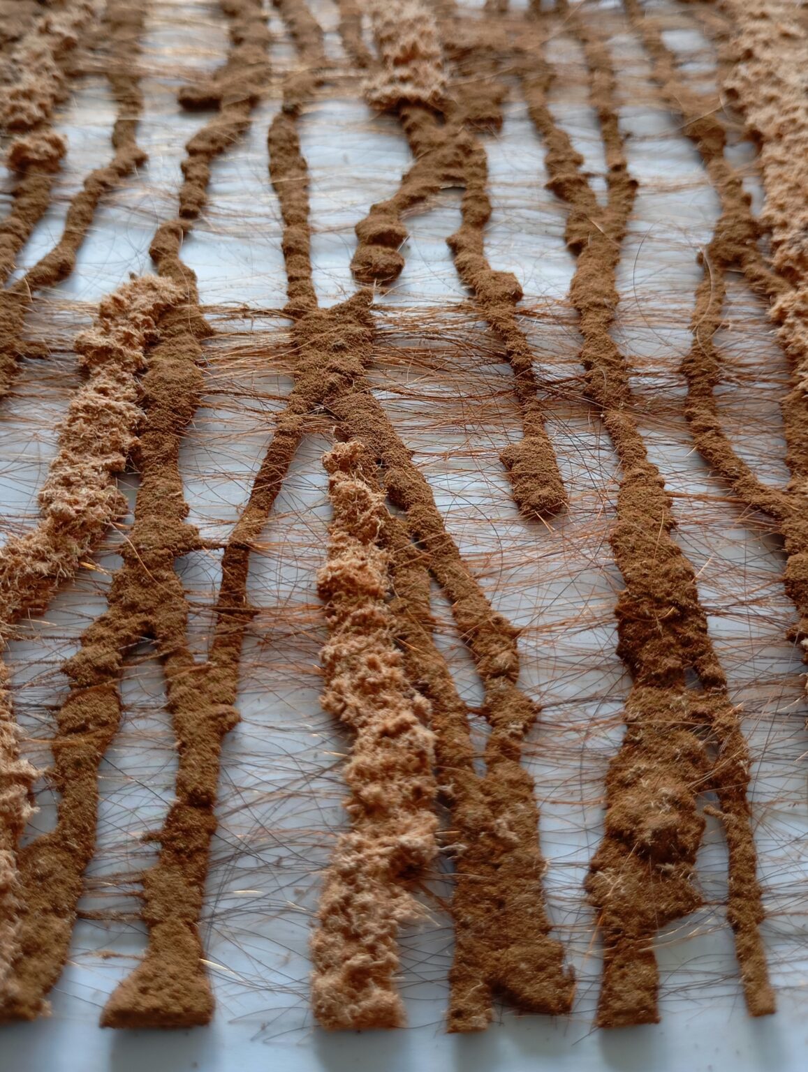 Na białym tle nieregularna siatka luźnych brązowych splotów tkaniny. Poziome pasy grubsze i mięsiste, pionowe przypominają włosy.