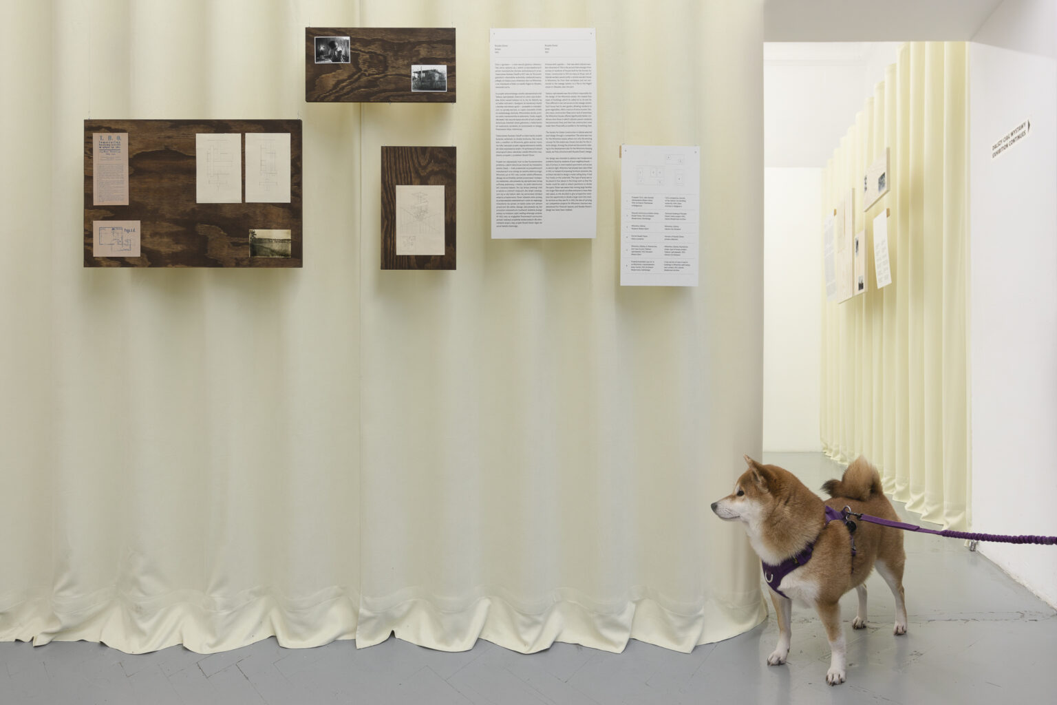 Wnętrze galerii. Na kremowej kotarze zawieszone teksty i drewniane tabliczki z fotografiami. Z prawej strony kadru stoi rudy pies.