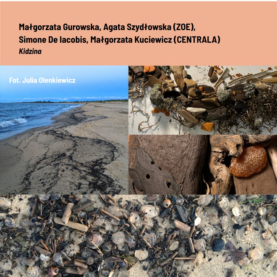 kolaż zdjęć przedstawiających ®żne krajobrazy