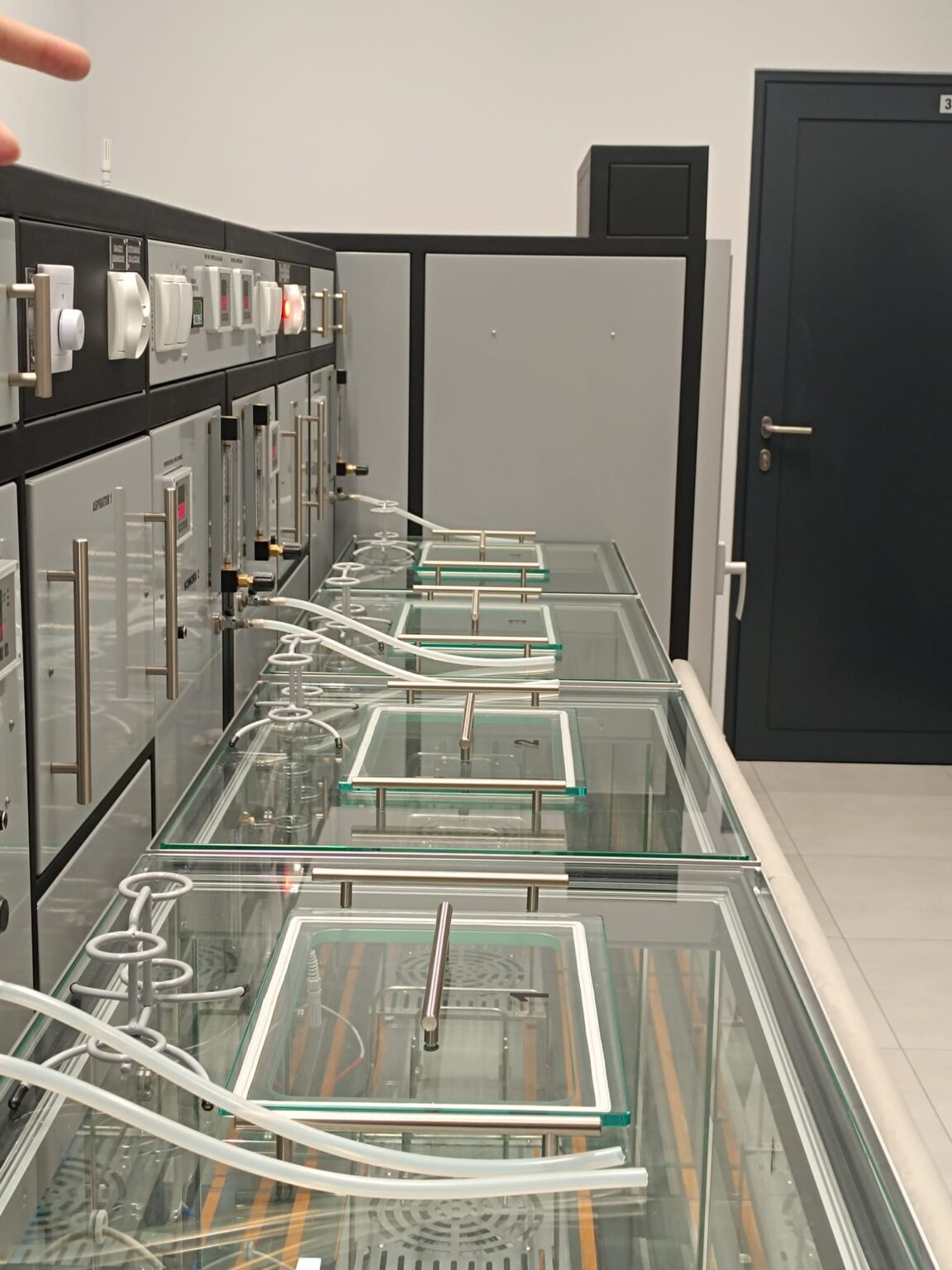 Studentki i studenci Eksperymentalnej Pracowni Drewna w zakładzie produkującym sklejki Paged Plywood w Piszu, fot. Paweł Jasiewicz