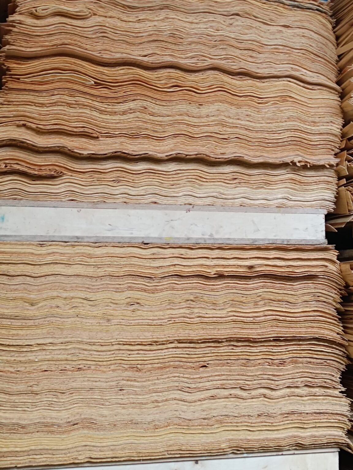 Studentki i studenci Eksperymentalnej Pracowni Drewna w zakładzie produkującym sklejki Paged Plywood w Piszu, fot. Paweł Jasiewicz