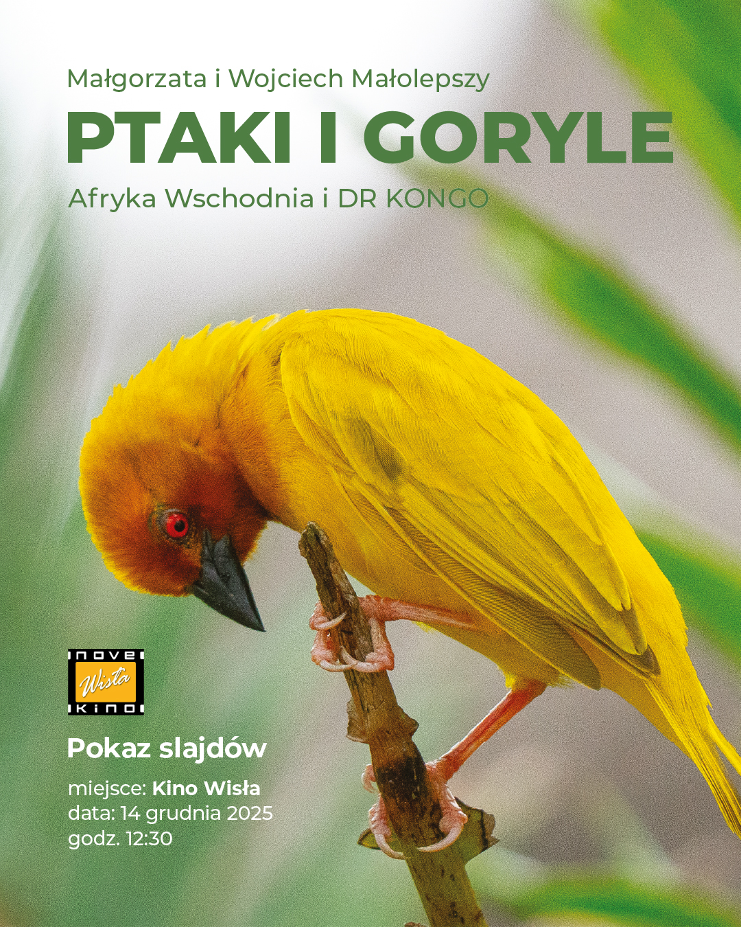 Plakat przedstawiający ptaka i zapraszający na pokaz sklajdów z wypraw Małgorzaty i Wojciecha Małolepszy