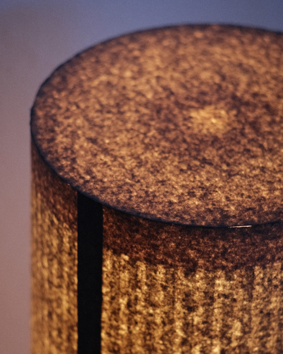 Wiktor Suchy, lampa (detal)