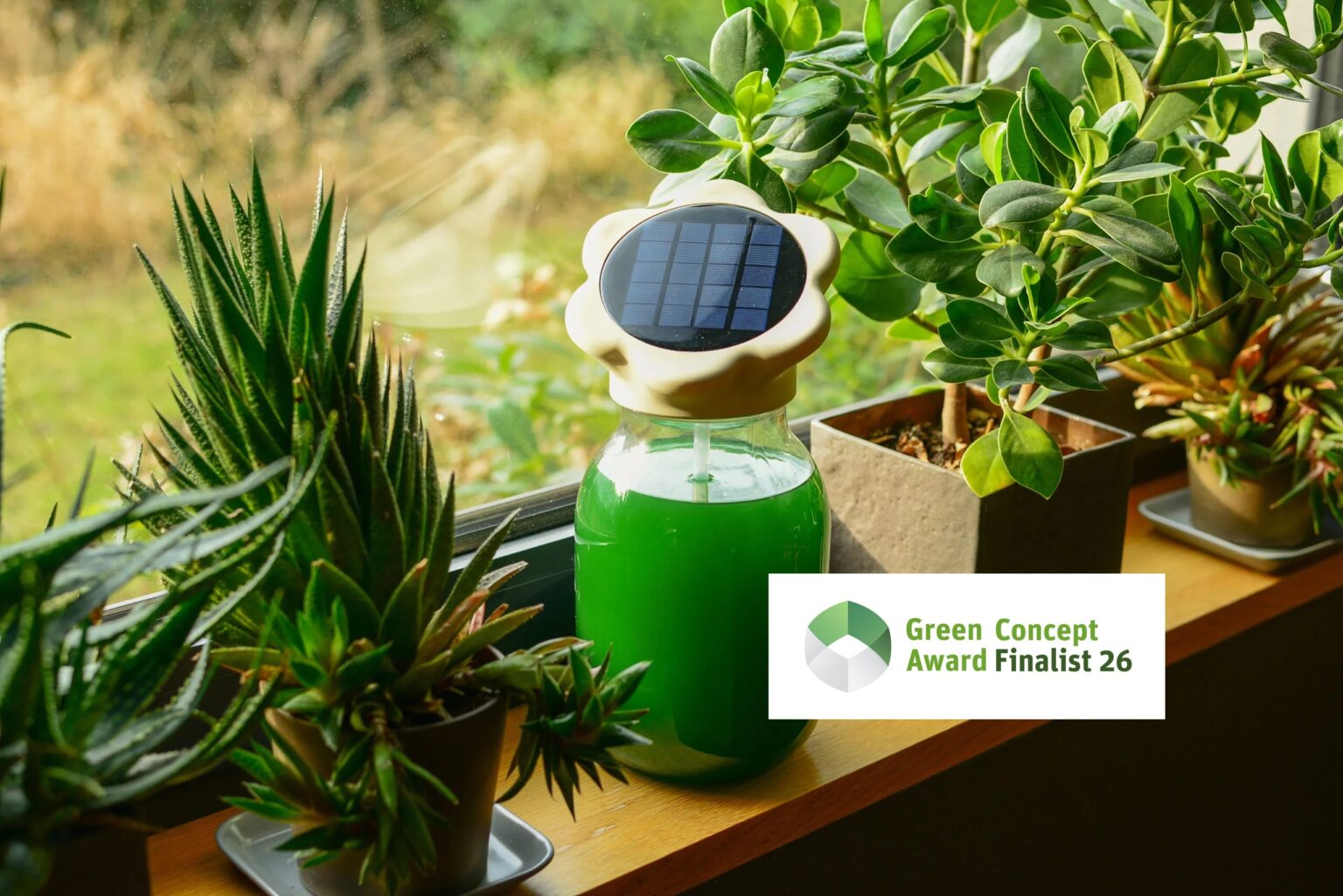 Maja Rowecka, „Greenspire”, 2025, fot. dzięki uprzejmości autorki