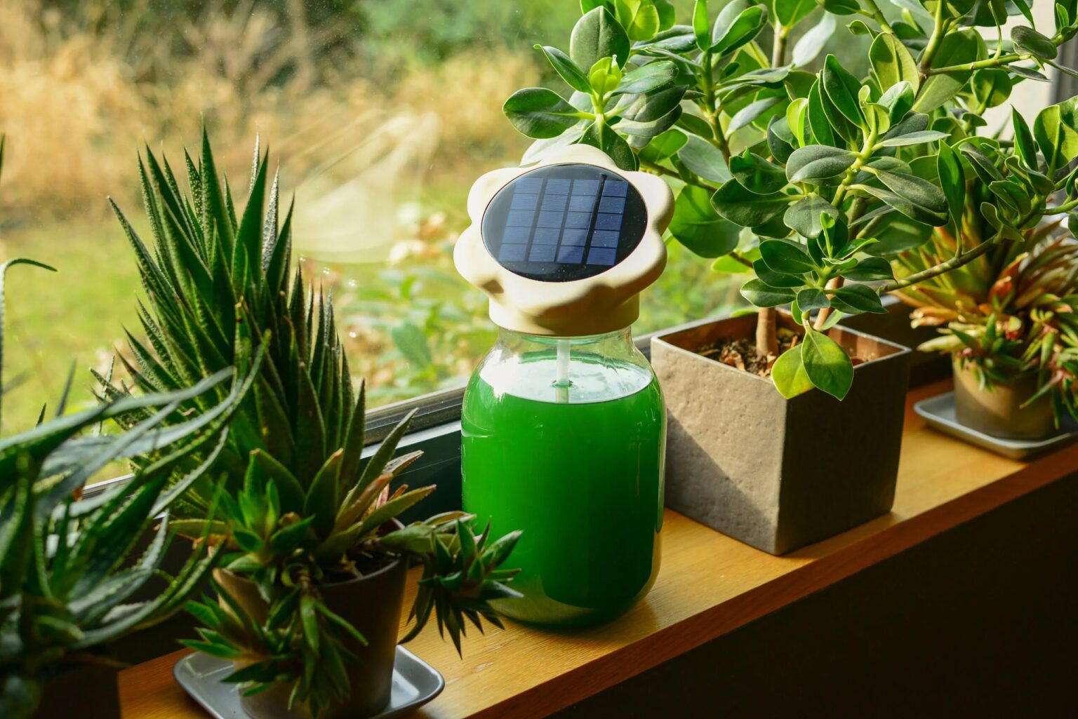 Maja Rowecka, „Greenspire”, 2025, fot. dzięki uprzejmości autorki