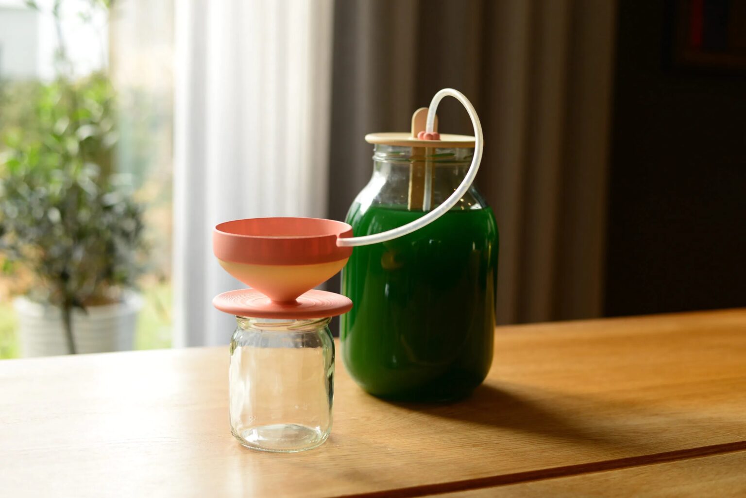 Maja Rowecka, „Greenspire”, 2025, fot. dzięki uprzejmości autorki