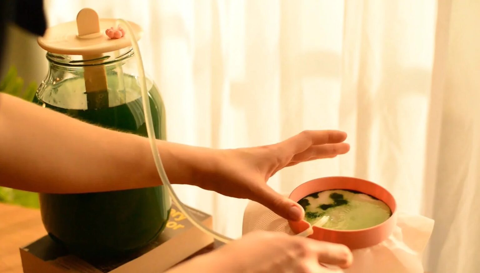 Maja Rowecka, „Greenspire”, 2025, fot. dzięki uprzejmości autorki