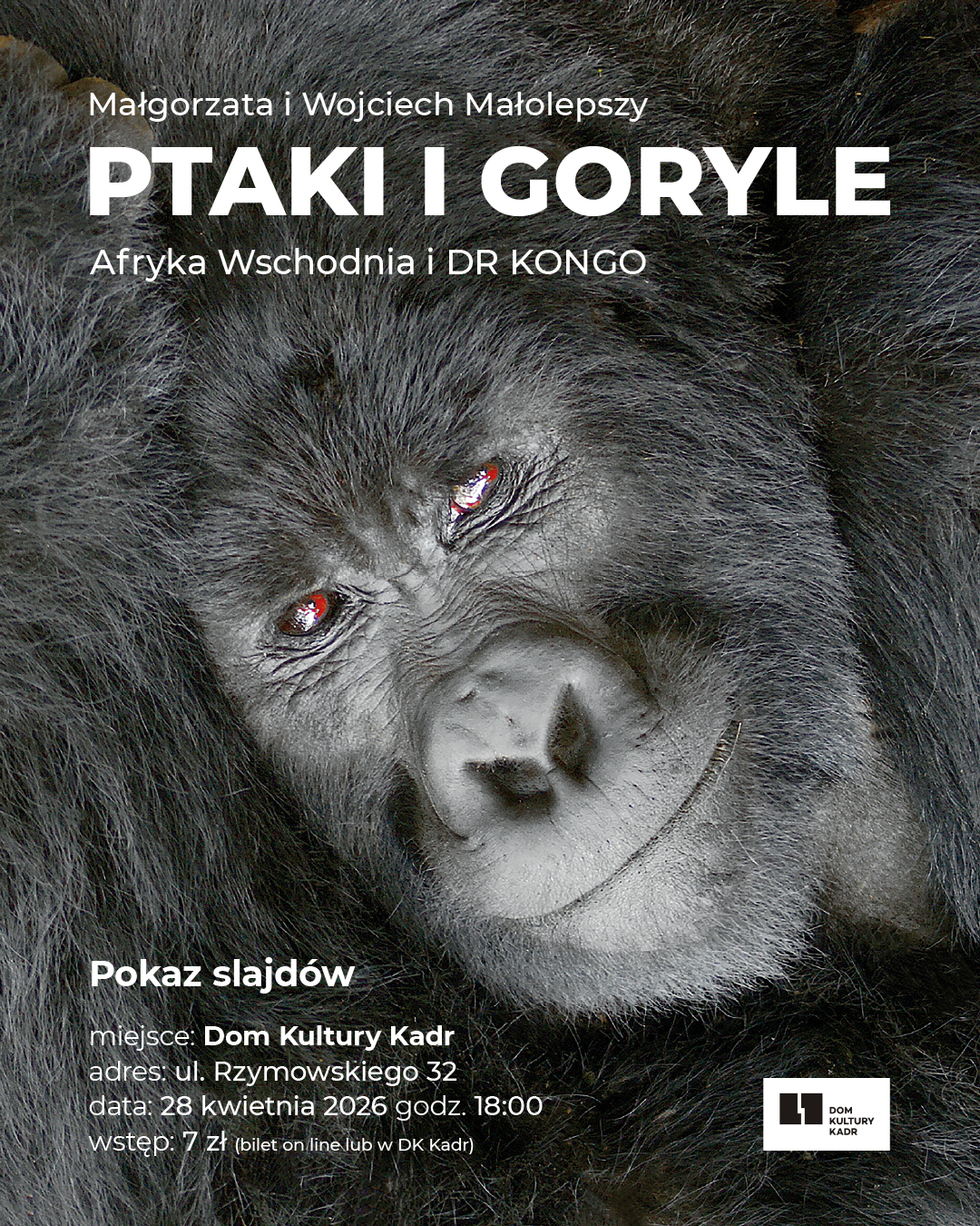 Plakat przedstawiający goryla i zapraszający na pokaz slajdów Małgorzaty i Wojciecha Małolepszy